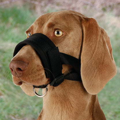Maulschlaufe, Nylon, L: 1628 cm, schwarz