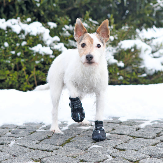 Pfotenschutz Walker Active, SM, 2 St., schwarz