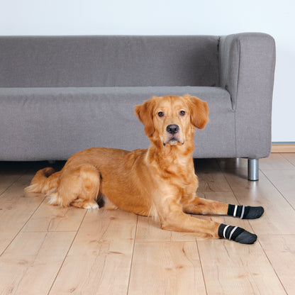 Trixie Hundesocken, Anti-Rutsch (Gr. L-XL) | 2 Stück