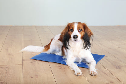 Kühlmatte, XL: 90 × 50 cm, blau