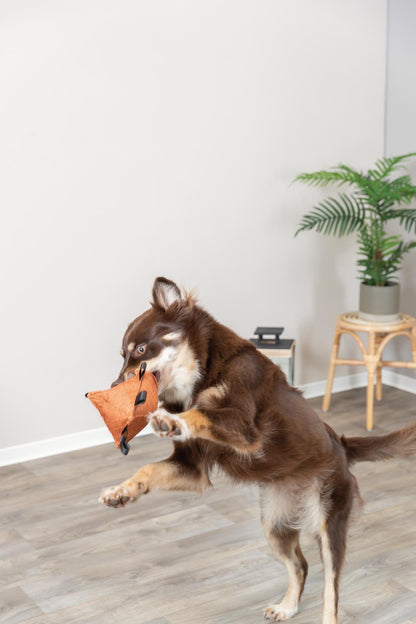 Trixie Raute 26 cm | CityStyle, recycelt