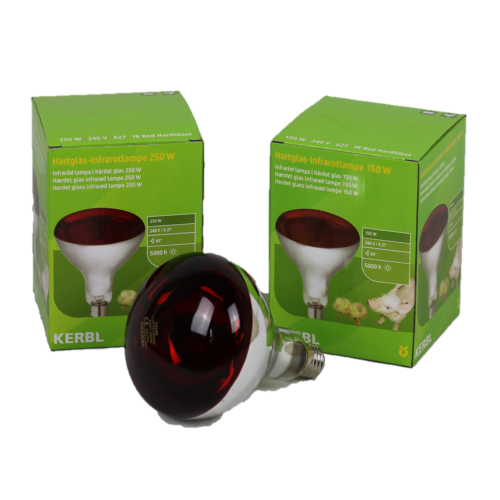 Infrarotlampe 250W Hartglas, rot