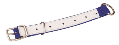Halsriemen für Schafe, Nyl. 60cm, grün