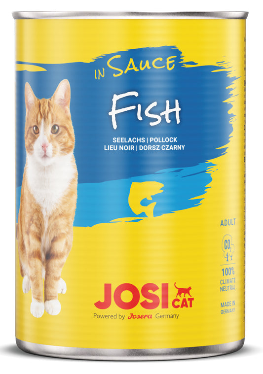 JosiCat Fish in Sauce