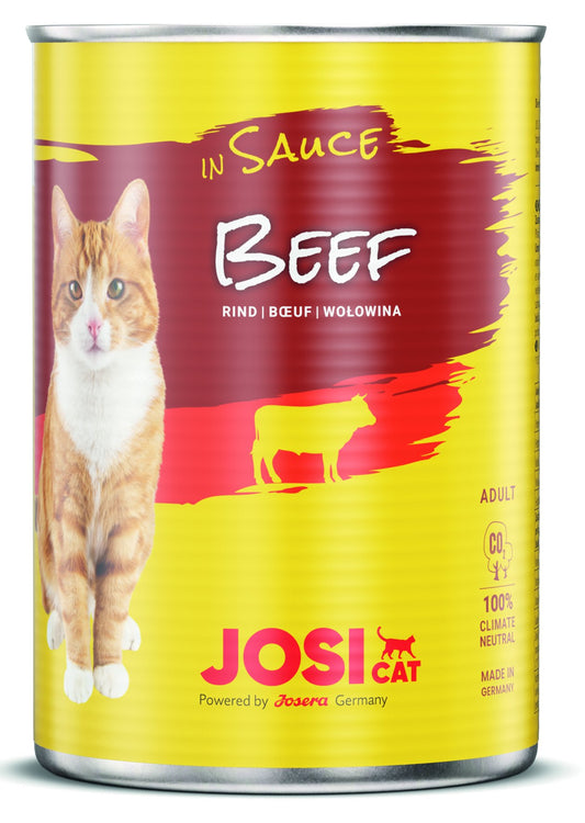 JosiCat Beef in