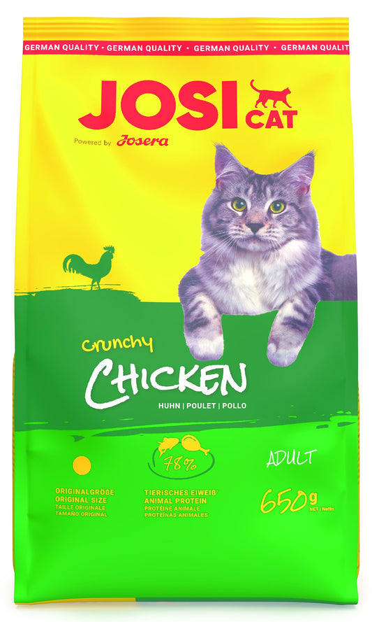 Josi Cat Chicken