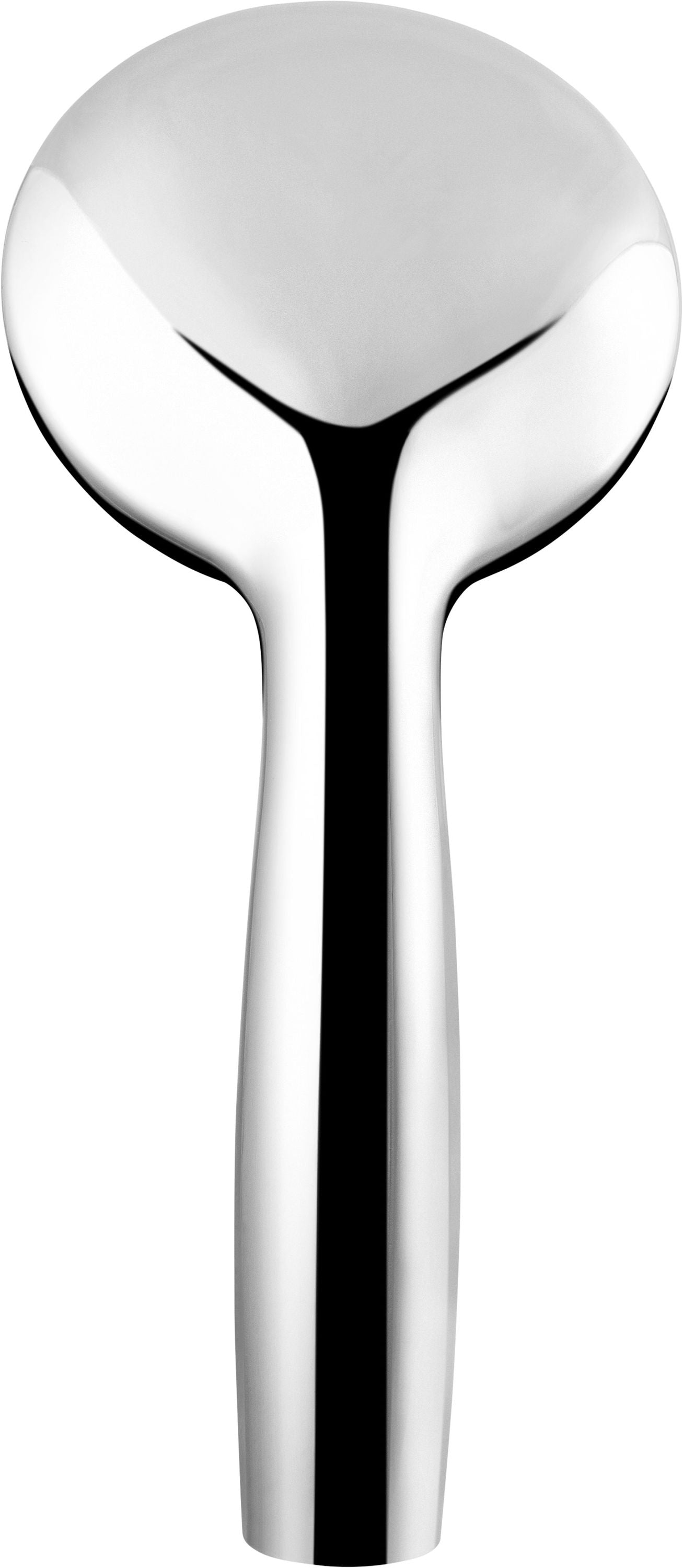 Handbrause Reina, Ø 100 mm, 5 S, verchromt