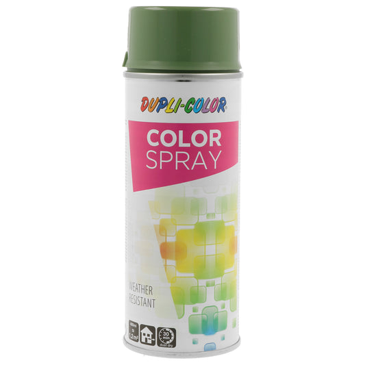 Color-Spray resedagrün  Buntlack glänzend 400 ml