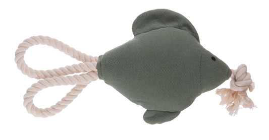 Korkies Fisch