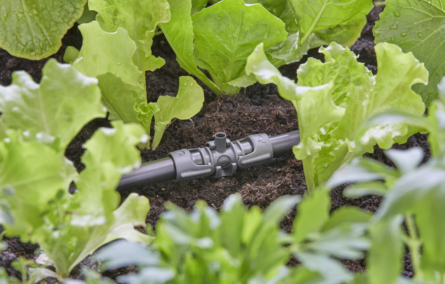 Micro-Drip-System T-Stück für Sprühdüsen