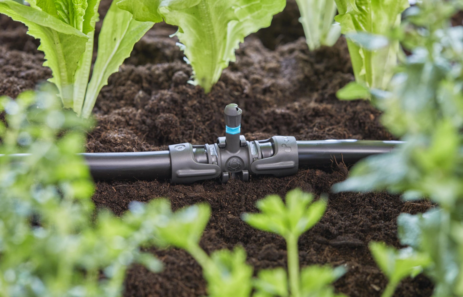 Micro-Drip-System T-Stück für Sprühdüsen