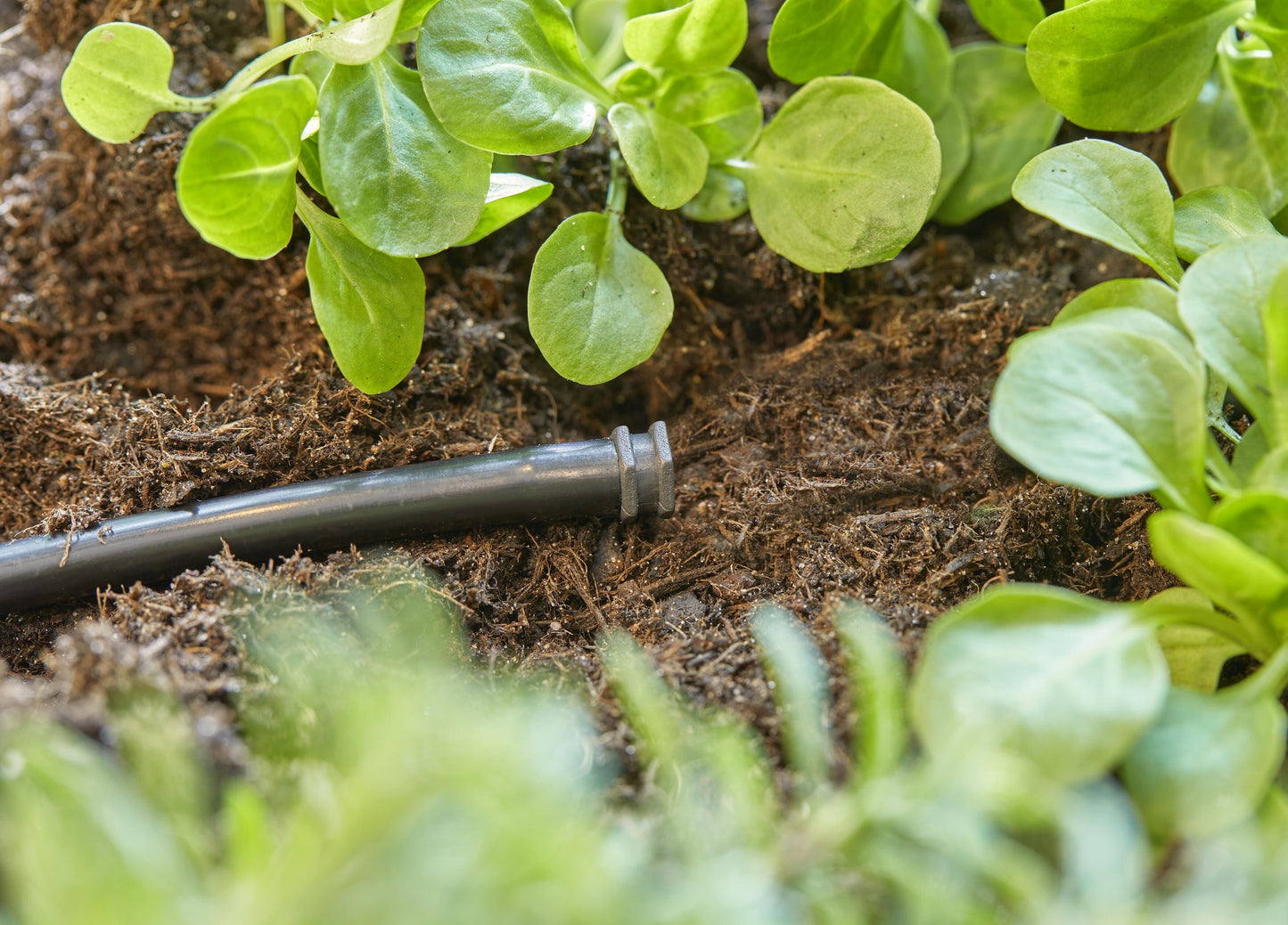 Micro-Drip-System Verschluss- stopfen
