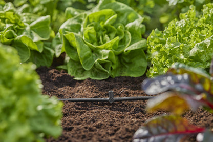 Micro-Drip-System T-Stück für Sprühdüsen