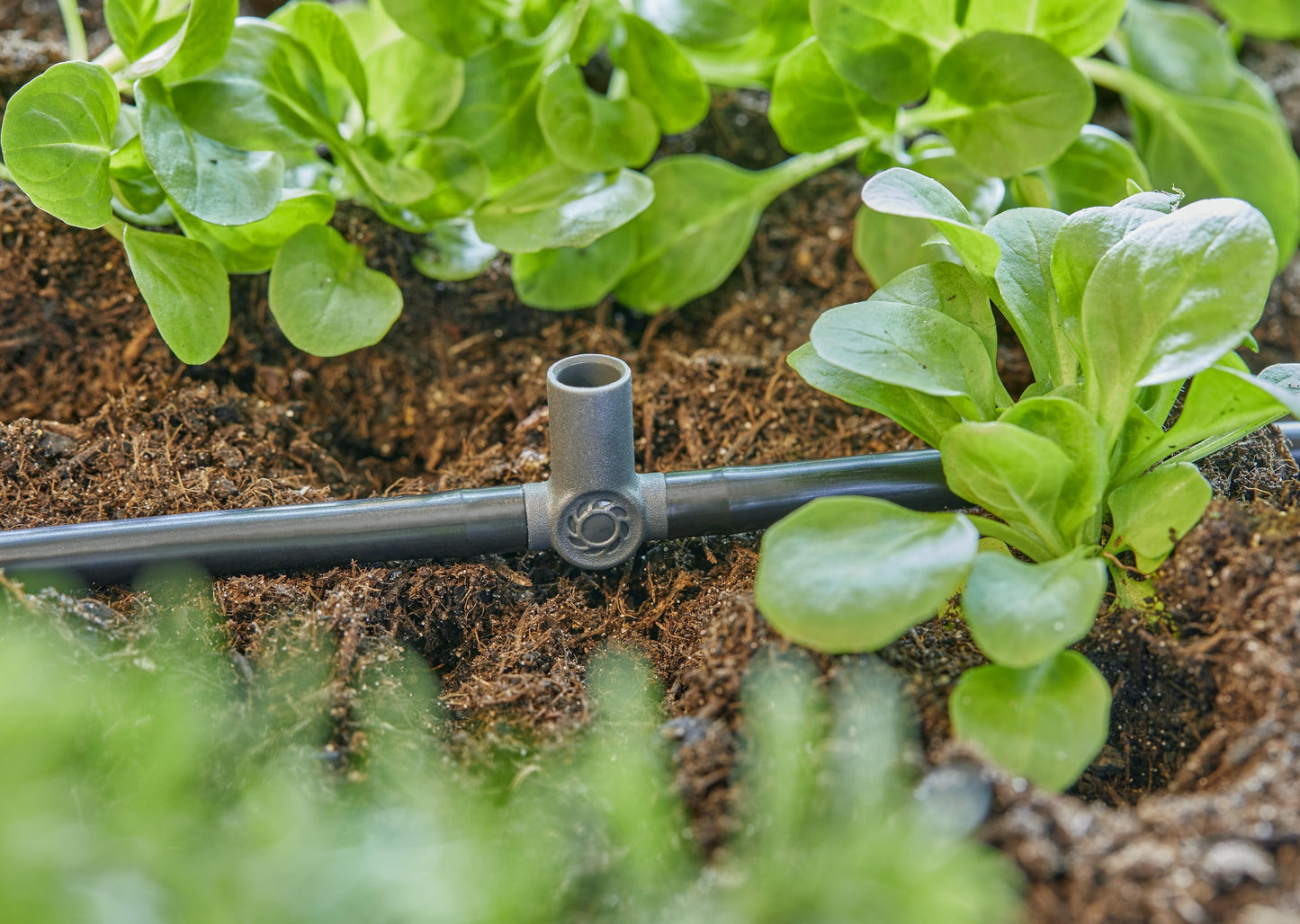 Micro-Drip-System T-Stück für Sprühdüsen