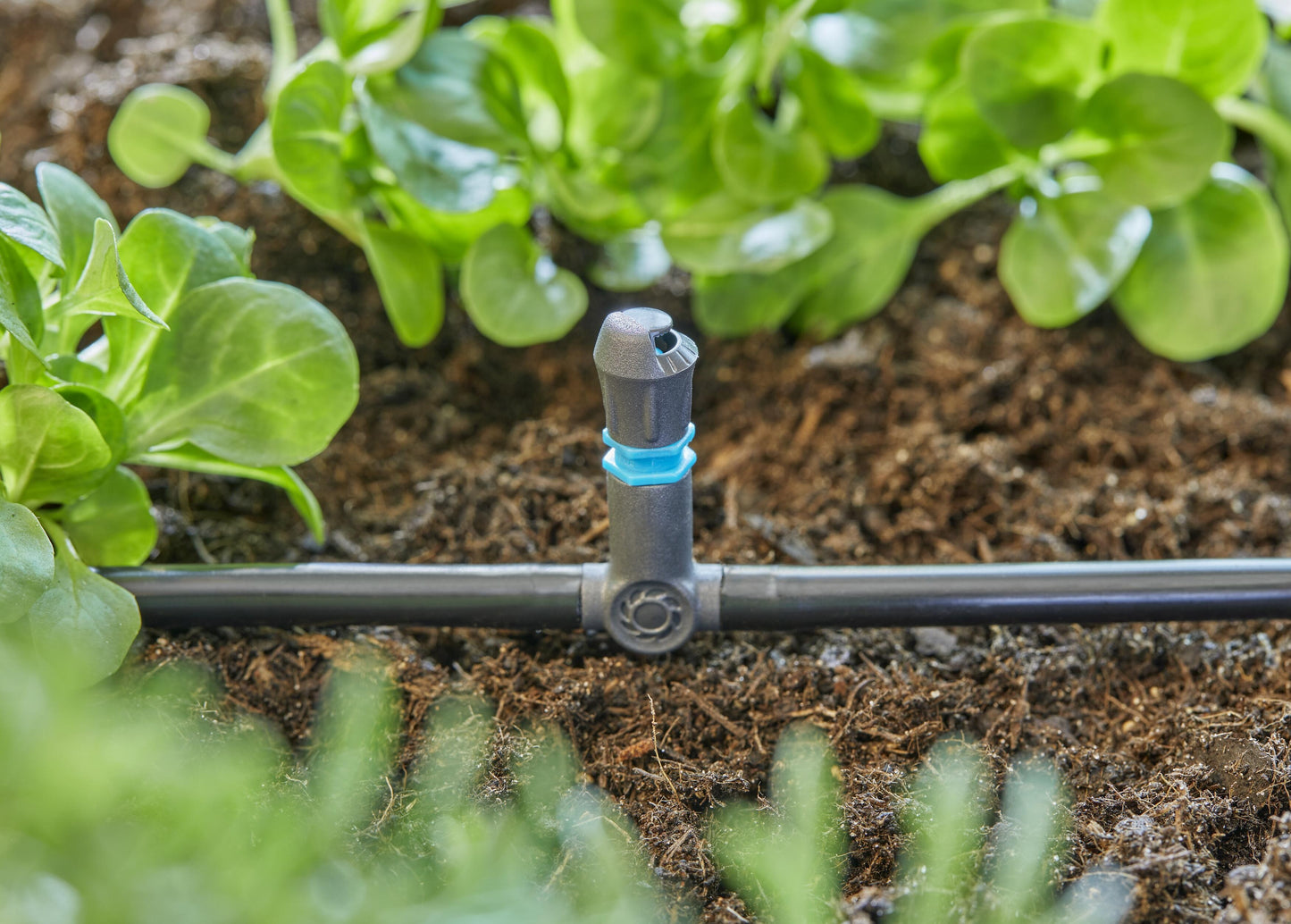 Micro-Drip-System T-Stück für Sprühdüsen