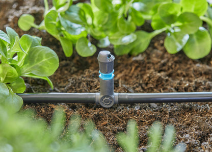 Micro-Drip-System T-Stück für Sprühdüsen