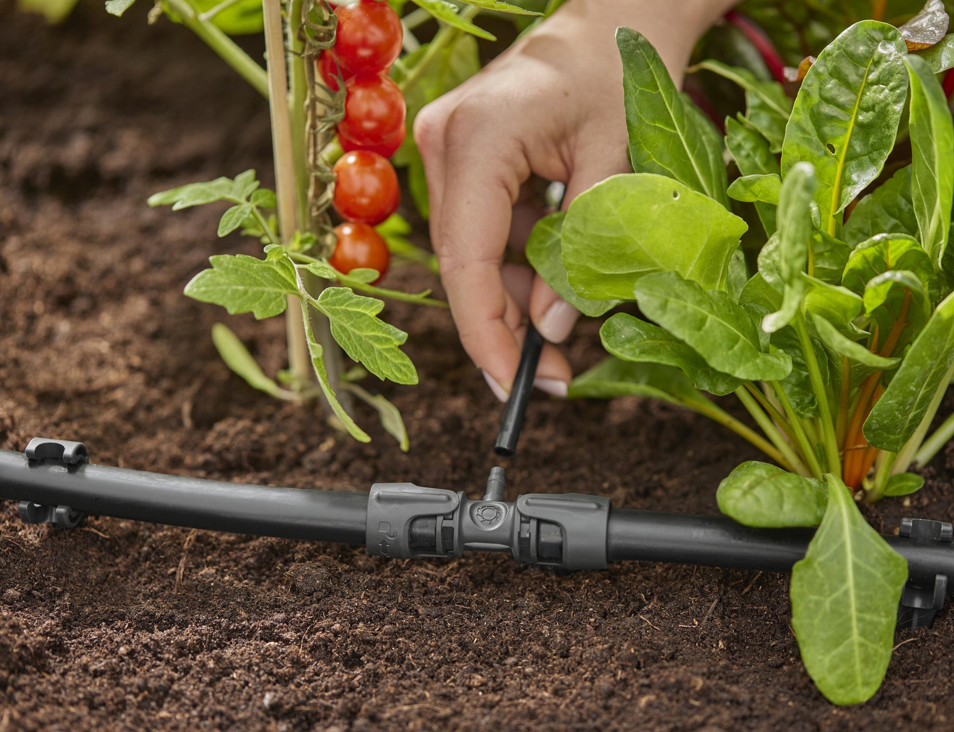 Micro-Drip-System Reduzier-T- Stück