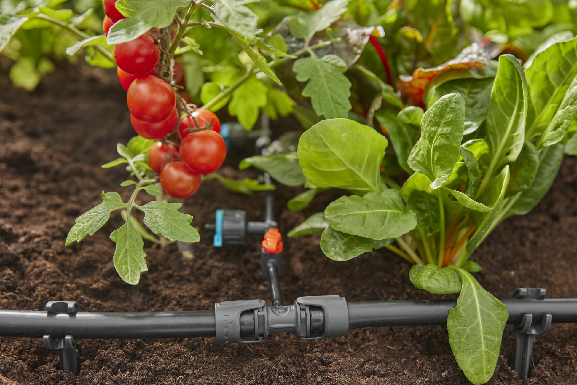Micro-Drip-System Reduzier-T- Stück