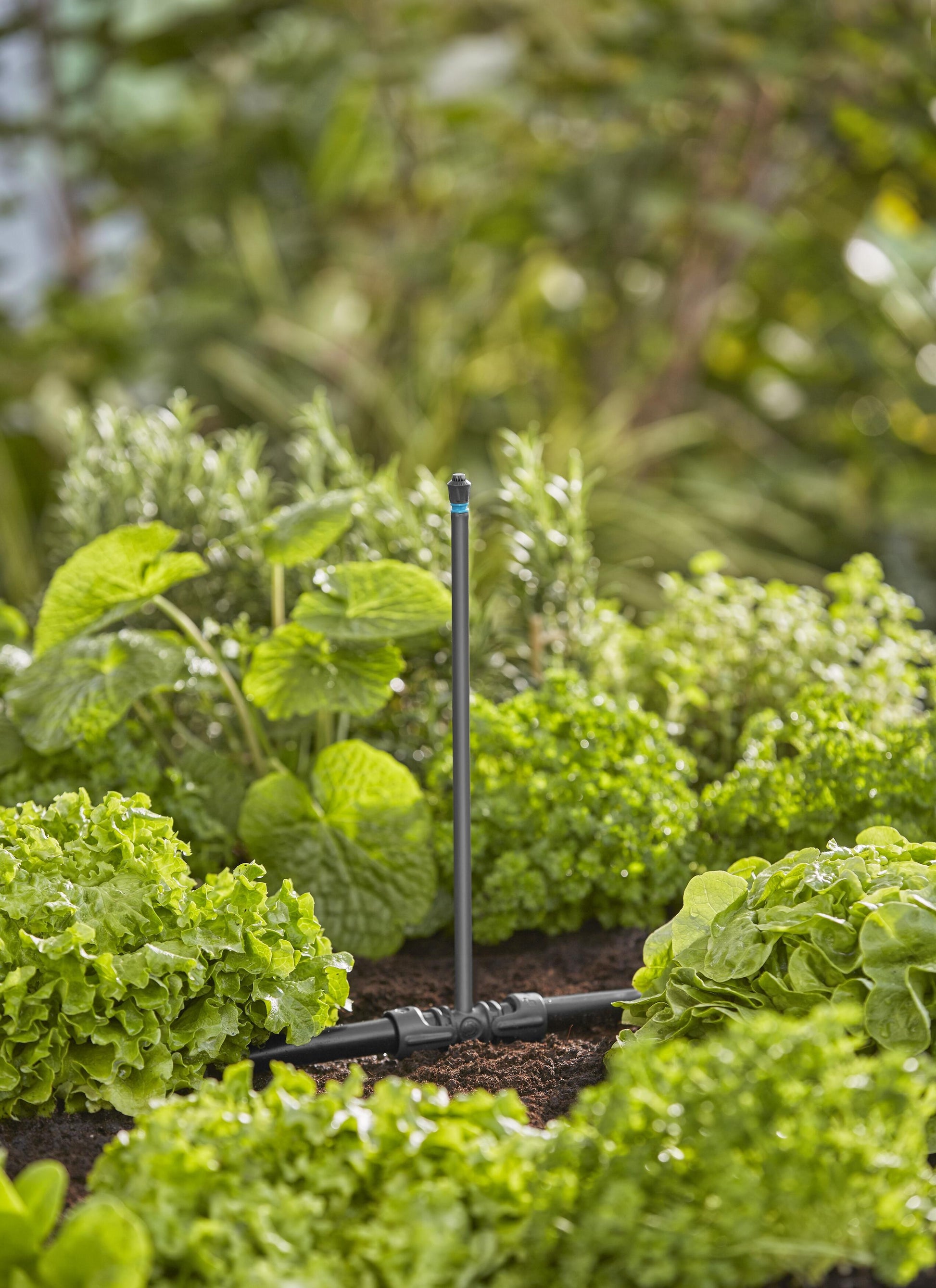 Micro-Drip-System Sprühdüse 360 Grad