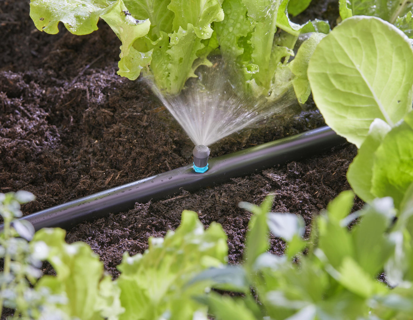 Micro-Drip-System Sprühdüse 90 Grad