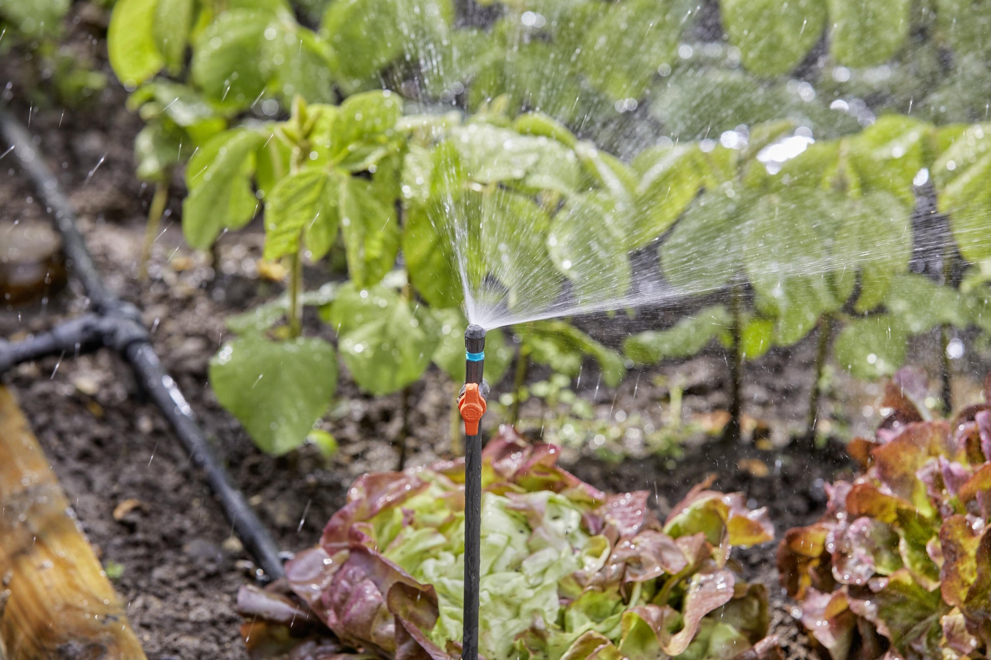 Micro-Drip-System Sprühdüse 90 Grad