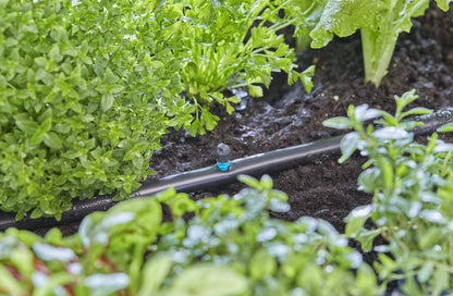 Micro-Drip-System Streifendüse