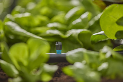 Micro-Drip-System Endstreifendüse