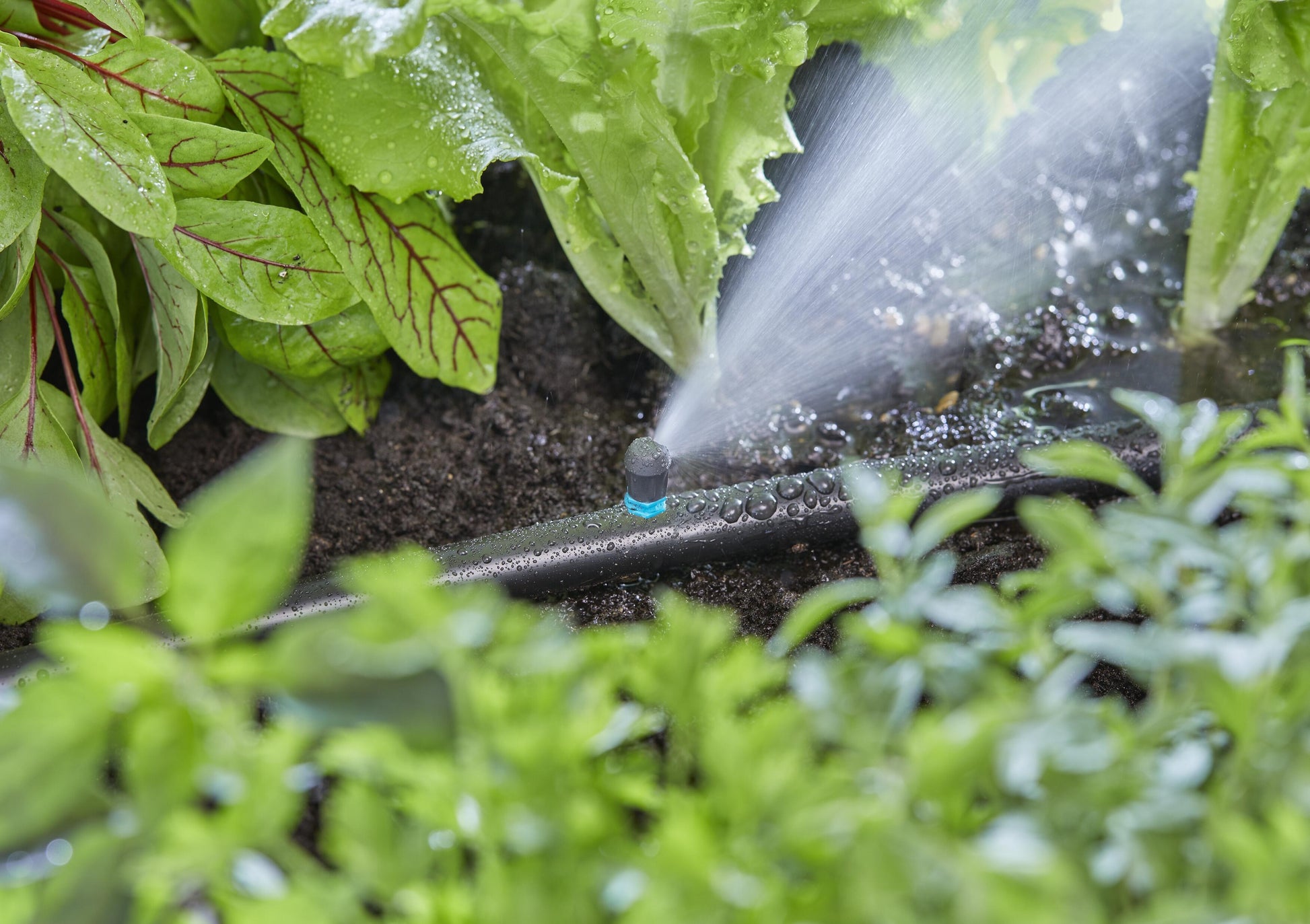 Micro-Drip-System Endstreifendüse