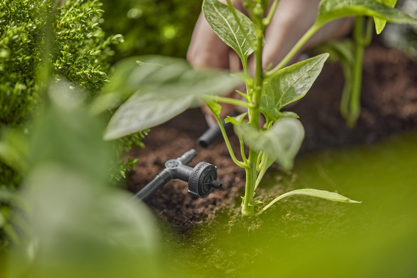 Micro-Drip-System Reihen- tropfer druckregulierend