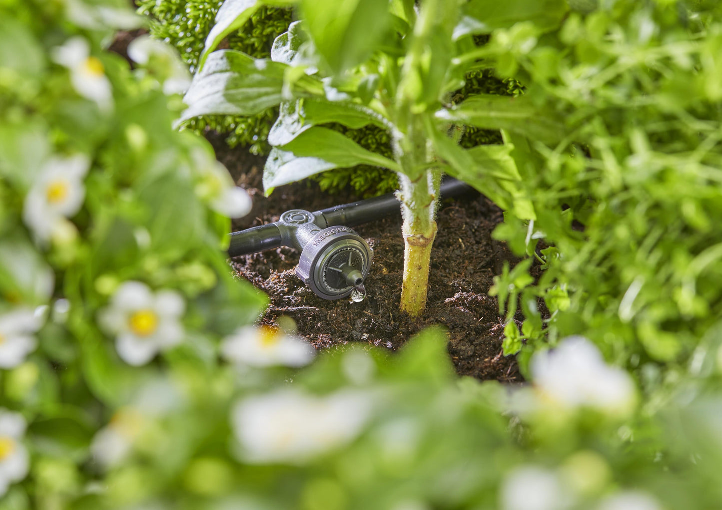 Micro-Drip-System Reihen- tropfer druckregulierend