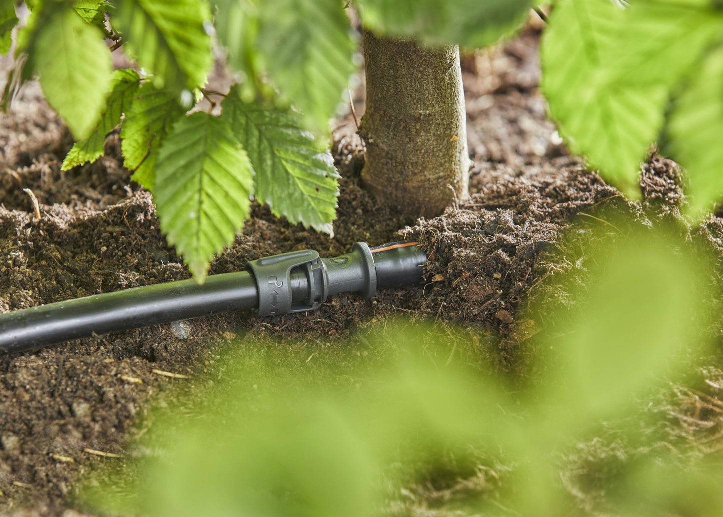 Micro-Drip-System Adapter für Wettbewerb/Tropfrohr