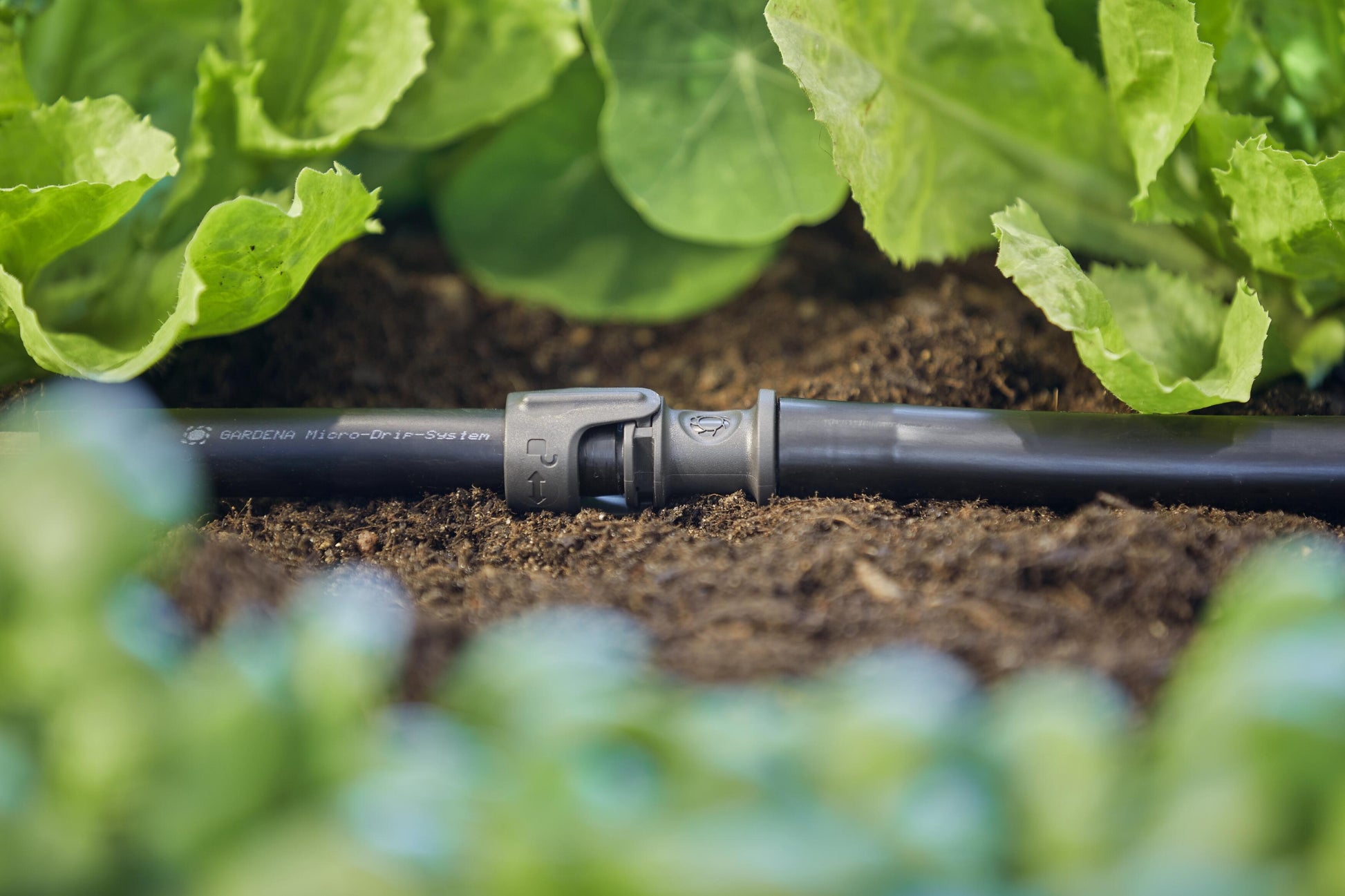 Micro-Drip-System Adapter für Wettbewerb/Tropfrohr
