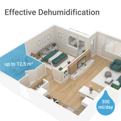 Mini-Luftentfeuchter Dryslim 300