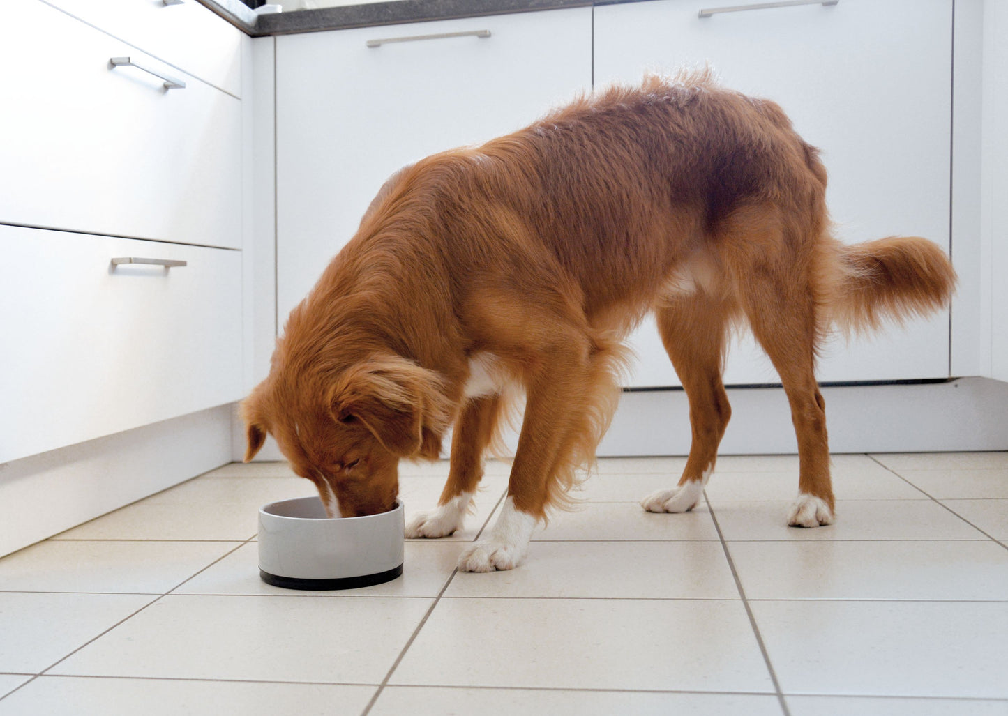 Ceramic bowl anti-slip L grey