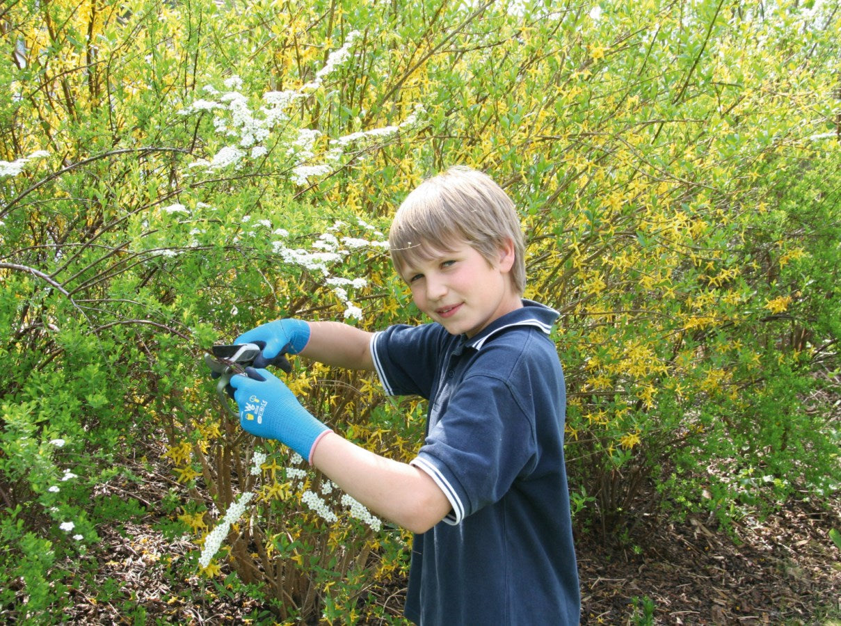 Kerbl Kinderhandschuh Kids | XS (Gr. 6) [alter 8 - 11 Jahre]