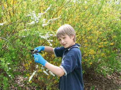 Kerbl Kinderhandschuh Kids | XS (Gr. 6) [alter 8 - 11 Jahre]