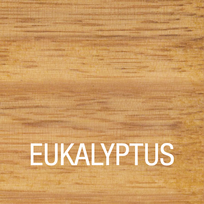 Eukalyptus Öl | Eukalyptus 0,75 Liter