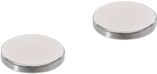 Magnet-Satz | extra stark | Ø 18 mm | 2 teilig