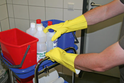 Kerbl Latex-Haushaltshandschuh "Protex" | Gr.8