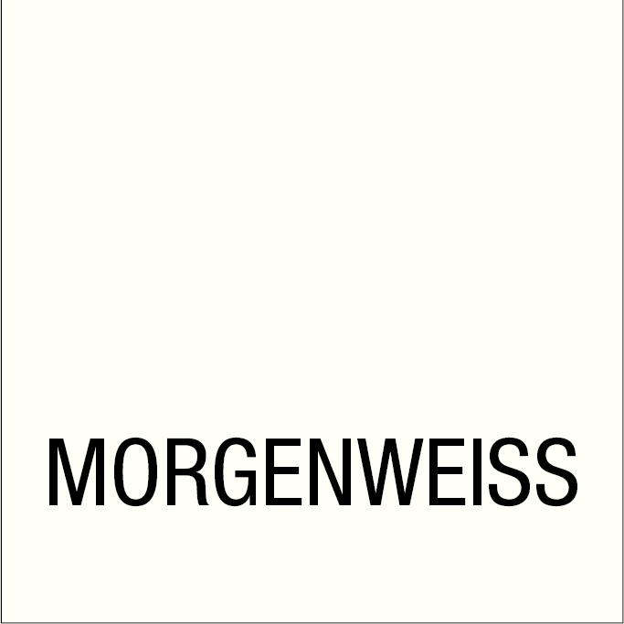 Dauerschutz-Farbe Morgenweiß 0,75 Liter