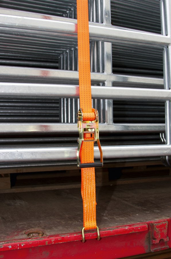 Kerbl Ratschenzurrgurt zweiteilig 8m | 50mm | 4t | Orange 