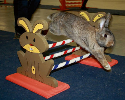 Kerbl Nagerhürde Agility | 62 x 33 x 34 cm