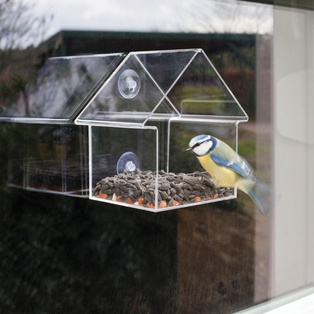 Esschert Design Fensterfutterhaus, Vogelhaus transparent zum beobachten