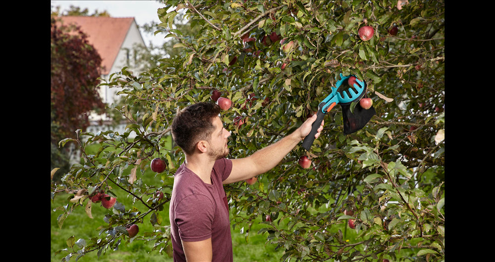 Gardena Obstpflücker | combisystem