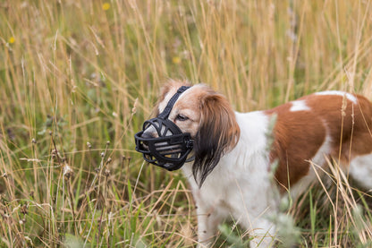 Trixie "Muzzle Flex" Maulkorb Gr. M | schwarz