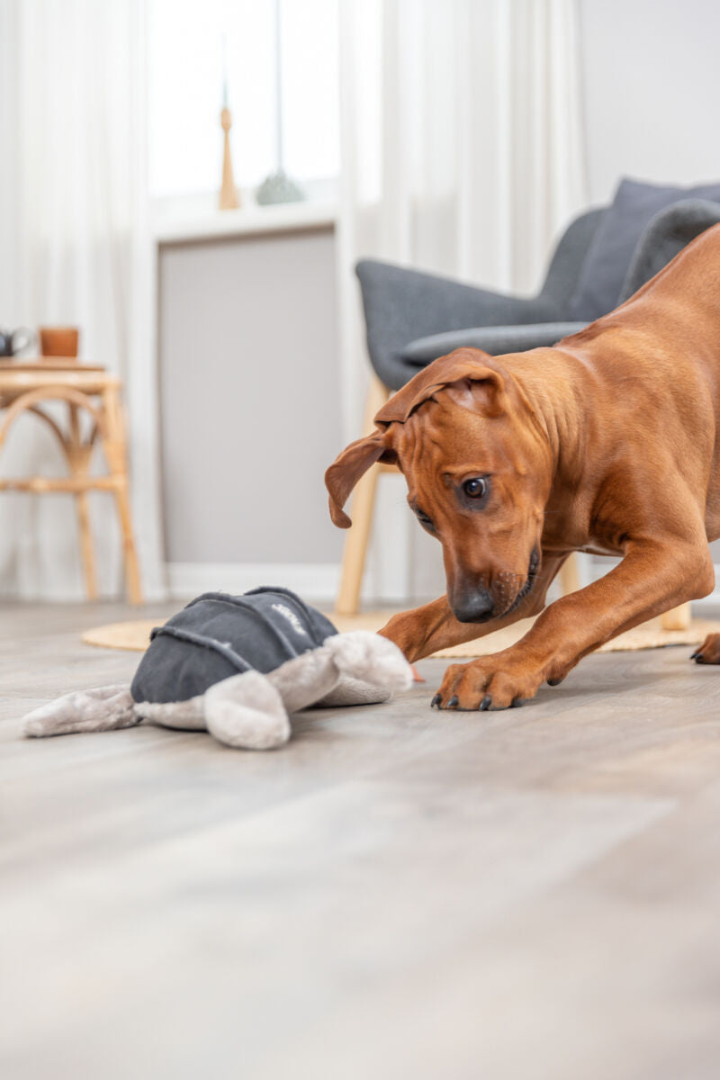 Trixie Hundespielzeug "Schildkröte" 34 cm | BE NORDIC