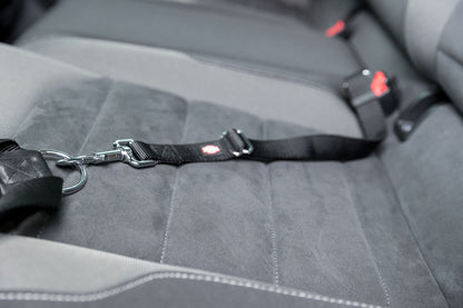 Trixie Anschnallgurt S-M (45-70cm) 25mm | schwarz