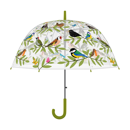 Regenschirm transparent mit Vogelmotiv