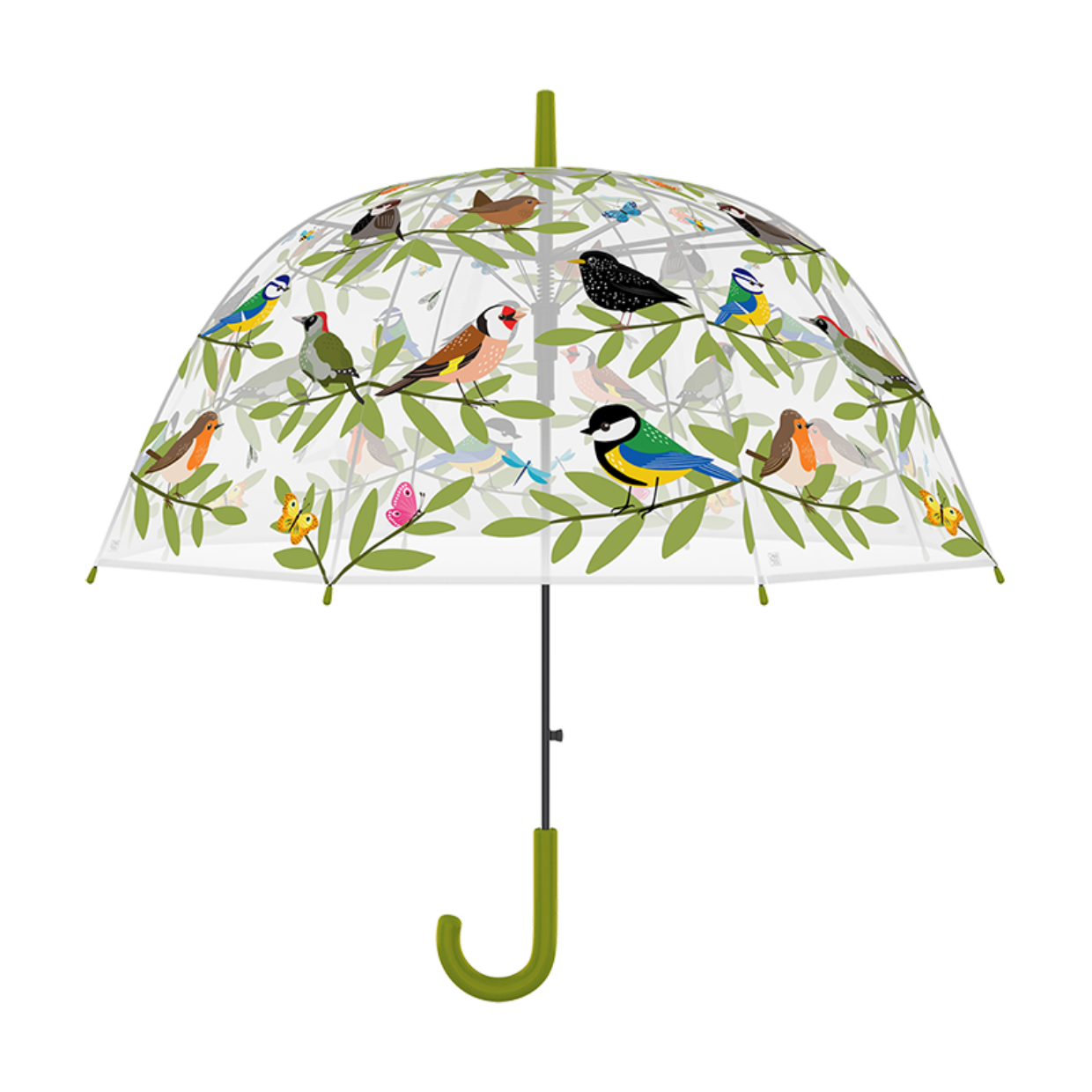Regenschirm transparent mit Vogelmotiv