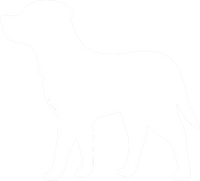 Icon Beratung